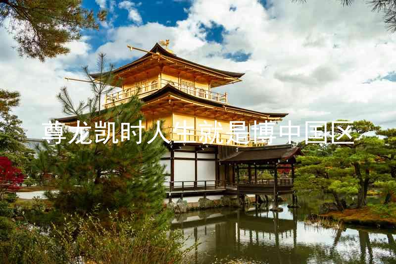 尊龙凯时人生就是博中国区