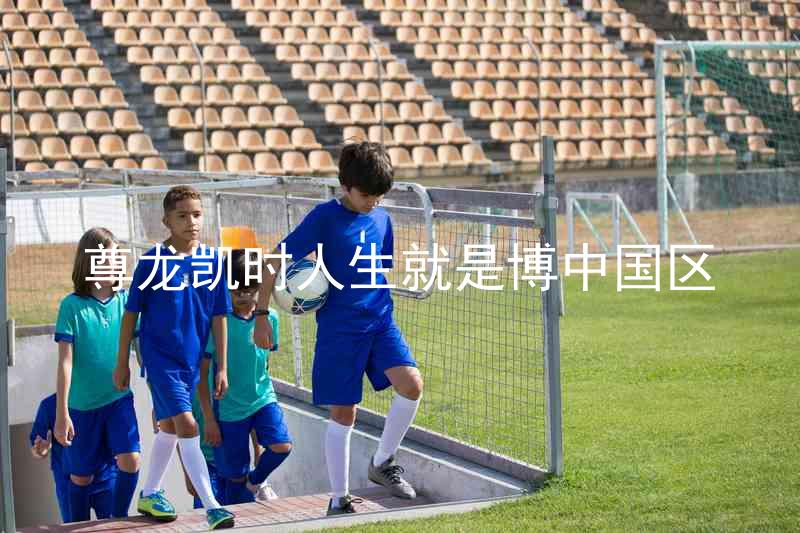 尊龙凯时人生就是博中国区